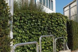 Radparker Anlehnbügel - technometall EDELSTAHL